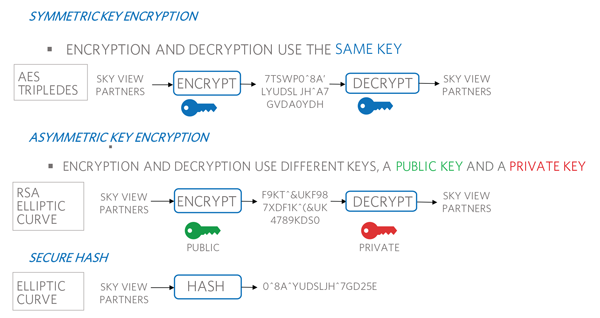 Body-Image-2-Secure Authentication For Medical Disposables