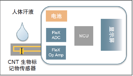 モレックス_Pic2