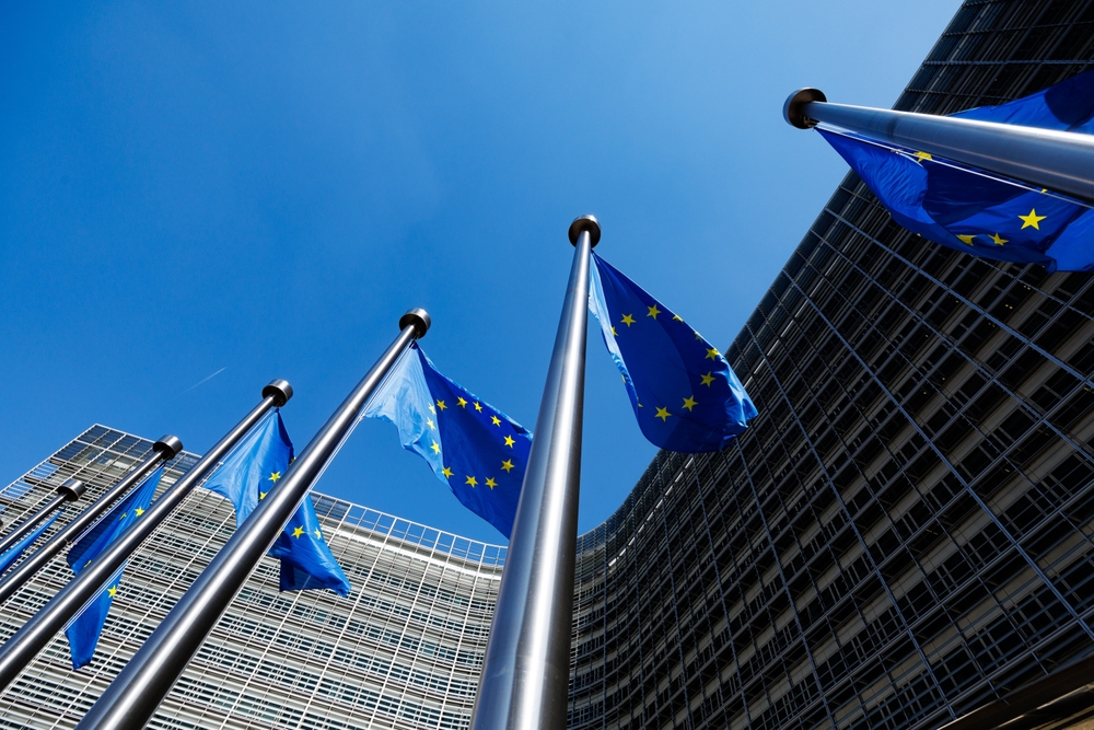 EU Flag EU Flag