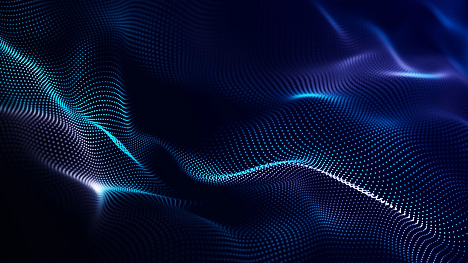 Arista Image