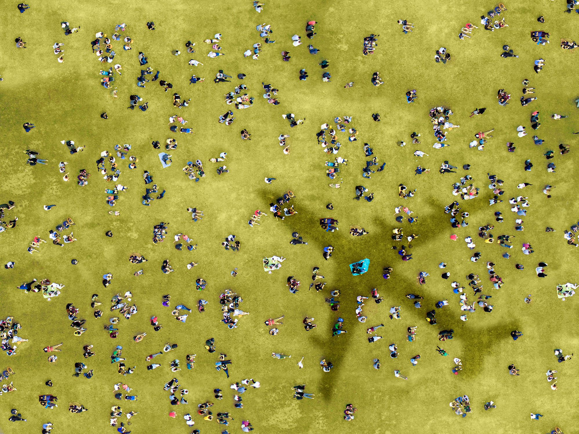Central Park Aerial