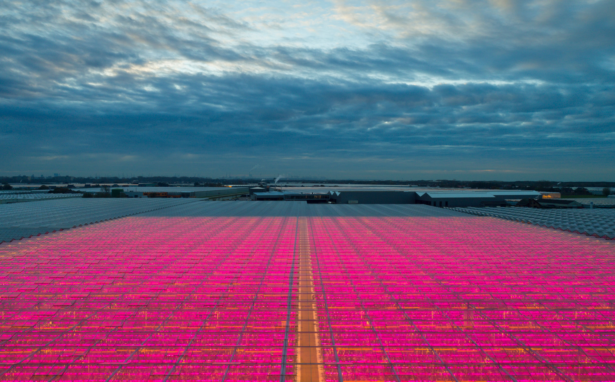 Greenhouses_With_Energy_Efficient_Lighting