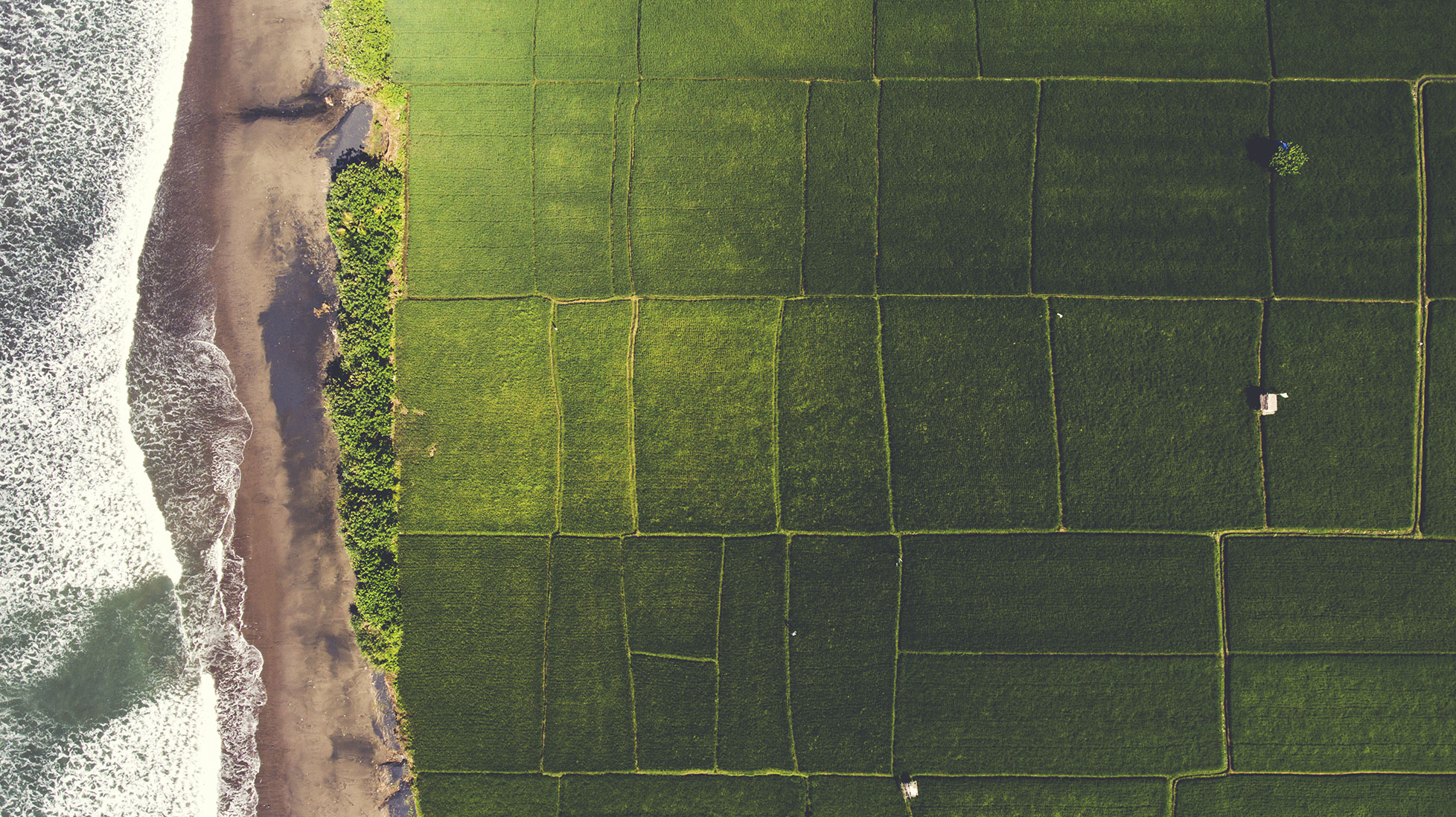 Nature Landscape With Growing Food