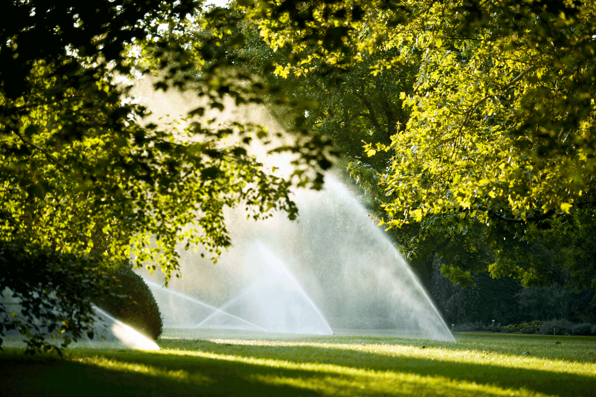 Automatic Water Sprinklers