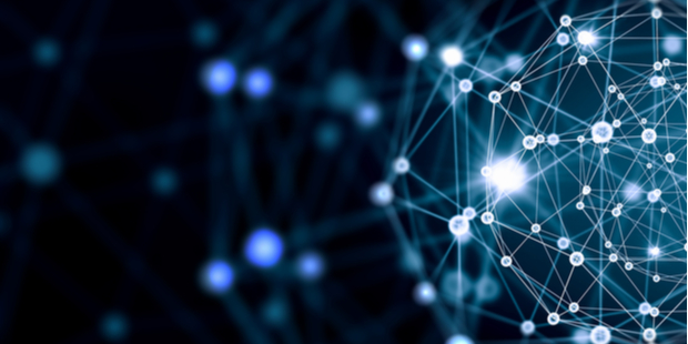 Network Image